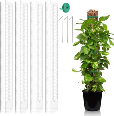 Monstera Klimhulp, 4 stuks, 61 cm, mosstokken, planten, mosstangen, set, klimhulp, kamerplant, mospaal van kunststof, uitbreidbaar, doe-het-zelf mosstaaf voor Monstera, wit
