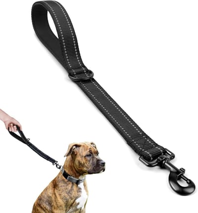 Korte hondenriem 45 cm met gevoerde handgreep - Sterke lijn voor controle - Reflecterend - Middelgrote en grote honden