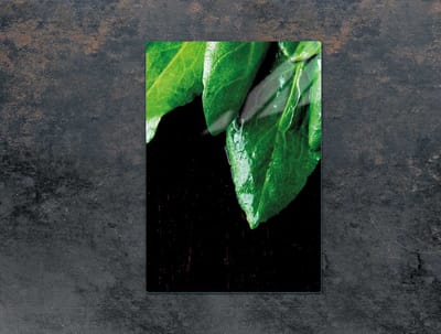 TMK ArtDeko Serie - Snijplank van Glas - 35x52 cm - Basilicum Motief - Veilige en Hygiënische Snijplank