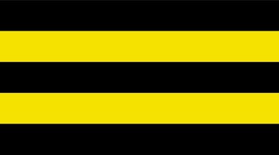 Vlag Schiedam 70x100cm