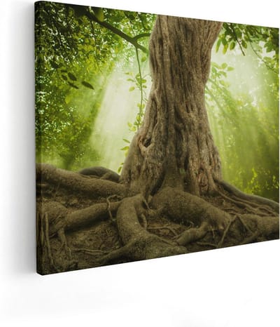 Artaza Canvas Schilderij Boom - 50x40 cm - Wanddecoratie Levensboom - Muurdecoratie Woonkamer - Kamer Accessoires Natuur
