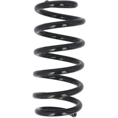 Chassisveer MAGNUM TECHNOLOGY SR174