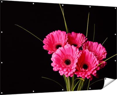 Gards Tuinposter Roze Gerbera Bloemen - 180x120 cm - Tuindoek - Tuindecoratie - Wanddecoratie buiten - Tuinschilderij