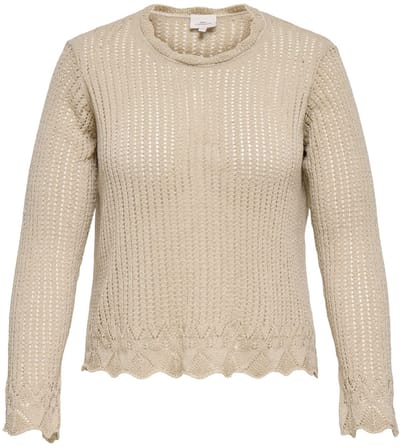 ONLY CARMAKOMA - CAREMMA LS O-NECK KNT - Meisjes - Gebreide truien