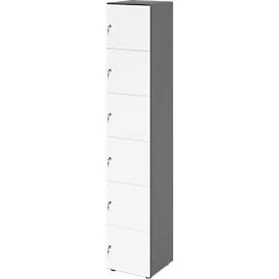Topas Line lockerkast, 6 dossierhoogtes, 6 vakken, cilinderslot, B 400 x D 420 x H 2156 mm, grafiet/wit