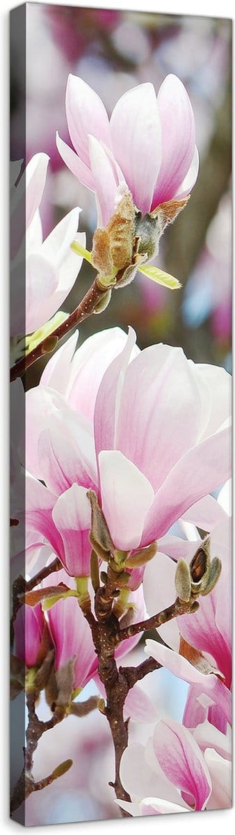 Canvas Schilderij - Bloeiende bloemen - Planten - Natuur - Roze - Wit - Boom - Schilderij Woonkamer - Schilderijen op canvas - Inclusief Frame - 45x145cm (LxB)