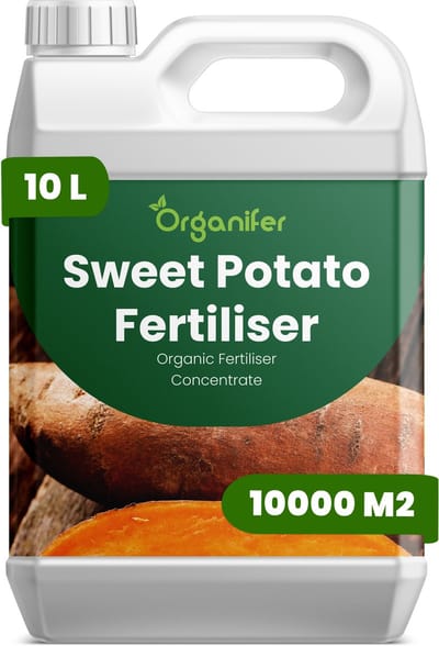 Vloeibare Meststof Voor Zoete Aardappel 10 L Voor 10000 M2 - Npk 2-1-8 - Ondersteunt Een Uniforme Wortelinitiatie En Knolvorming Van Zoete Aardappel - Verbetert Wortelvorm, Dichtheid En De Algehele Opbrengstkwaliteit - Organifer