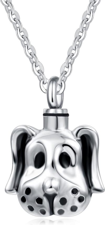 Quiges - RVS - Ashanger - Urn - Hond - Met - Verstelbare - Ketting - 46 - 52cm - Asketting - As sieraad - SLSA017