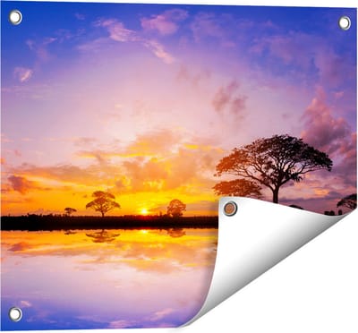 Gards Tuinposter Silhouet van Bomen tijdens Zonsondergang - 50x40 cm - Tuindoek - Tuindecoratie - Wanddecoratie buiten - Tuinschilderij