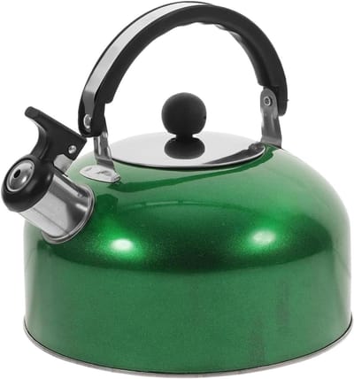 Waterkoker met Fluitje - Theeketel Roestvrijstaal - Water Koken - Luid Fluitje - 3L - Groen