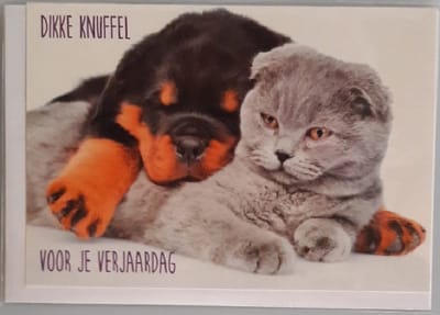 Een dikke knuffel voor je verjaardag! Een grappige kaart met een luie hond en kat die over elkaar heen liggen. Een leuke kaart om zo te geven of om bij een cadeau te voegen. Een dubbele wenskaart inclusief envelop en in folie verpakt.