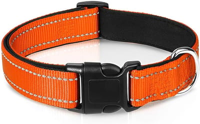 Reflecterende nylon hondenhalsband - Gewatteerd, verstelbaar en ademend - Veiligheidshalsband voor grote honden (maat L, 2,5 cm breed)