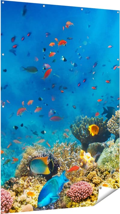 Gards Tuinposter Onderwater Vissen met Koraal in de Zee - 120x180 cm - Tuindoek - Tuindecoratie - Wanddecoratie buiten - Tuinschilderij