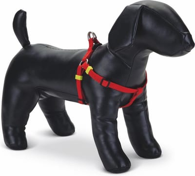 Beeztees Uni - Hondentuig - Rood - 26-40 cm x 10 mm
