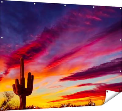 Gards Tuinposter Cactus bij Oranje Zonsondergang - 160x120 cm - Tuindoek - Tuindecoratie - Wanddecoratie buiten - Tuinschilderij