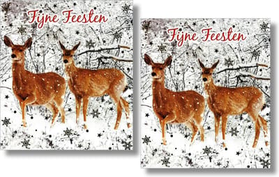 16 Dubbele kaarten - Fijne Feesten - Lannoo - Witte envelop - 12 x 13,3 cm