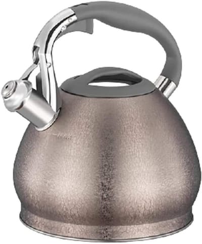 Waterkoker Voor Kachel - Theepot RVS - Water Koken - Grote Capaciteit - 3L - Zilver