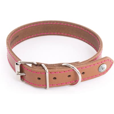 Hondenhalsband Martin Sellier Flash
