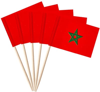 Cocktailprikkers Marokko - Marokkaanse vlag - Party picks - Hapjesprikkers - Vlaggetjes prikkers - Marokko decoratie - EK WK - Food picks - Moroccan flag picks - Vlaggenprikkers - 7 cm - Jonyx