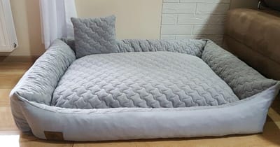 XXL Hondenmand 120x90 cm - Waterafstotend Kunstleer - Wit/Crème