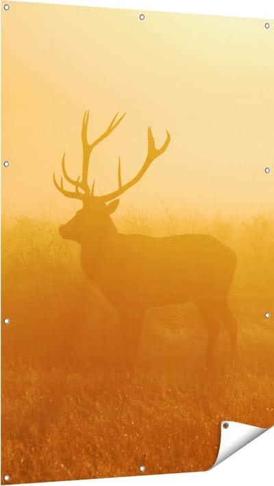 Gards Tuinposter Hert tijdens de Mist - 100x150 cm - Tuindoek - Tuindecoratie - Wanddecoratie buiten - Tuinschilderij