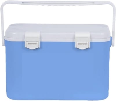 Visgerei Doos - Visbox Emmer - Vissen Opslag - Waterdicht Verzegeld Deksel - 43x27x29cm - Blauw