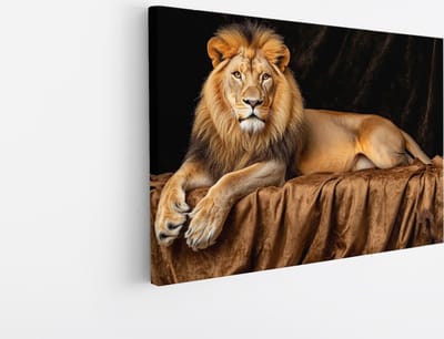 Saammp Canvas Schilderij - Leeuw op deken - Kunst - Dieren - Abstract - 45x30 - Foto op canvas - Wanddecoratie - Muurdecoratie Woonkamer - Slaapkamer decoratie - Canvas Print