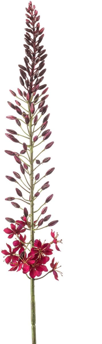 Emerald - Kunstbloem Eremurus 108cm bordeaux - Kunstplant voor binnen