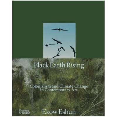Black Earth Rising - Ekow Eshun