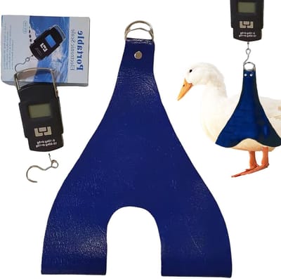 Vogel Transport Draagzak - Kippen Houder - Veilig Vervoeren - Met Geïntegreerde Weegschaal - 35 kg Draagkracht - Blauw