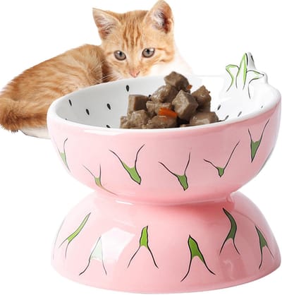 Daity 1 Pack - Keramische kattenbak - gekantelde kattenbak - voerbak met fruitmotief - dierenbenodigdheden - anti-terugstroombak - kom met drukverlichting