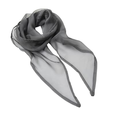 Premier Dames/Dames Chiffon Sjaal (Salie)