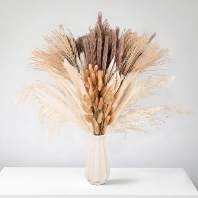 Allecto Plus - Gedroogde Pampasgras voor Raamdecoratie in Boho Stijl - Grote Pluimen voor Huiskamer en Bruiloftstafel - Decoratiebloemen - Natuurlijke Sfeercreatie