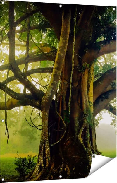 Gards Tuinposter Grote Levensboom met Veel Takken - 90x120 cm - Tuindoek - Tuindecoratie - Wanddecoratie buiten - Tuinschilderij