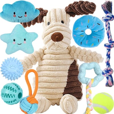 Famanu – Kauw- en piepspeelgoed voor puppy’s – Pluche hondenspeelgoed – Set van 10