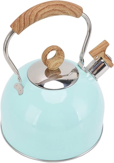 Theeketel Roestvrijstaal - Waterketel Fornuis - Snel Water Koken - Hoorbare Fluitfunctie - 25 Liter - Zilverkleurig