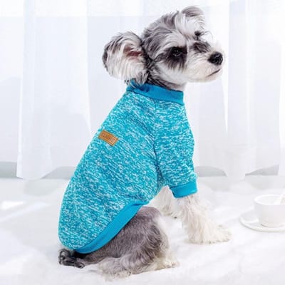 Sweats à capuche pour chien à la mode Automne Pulls pour chien Sweats à capuche mignons pour chiot Sweat-shirt chaud pour chat Tenues pour animaux de compagnie Vêtements pour chien Chihuahua Bouledogue français 2XL