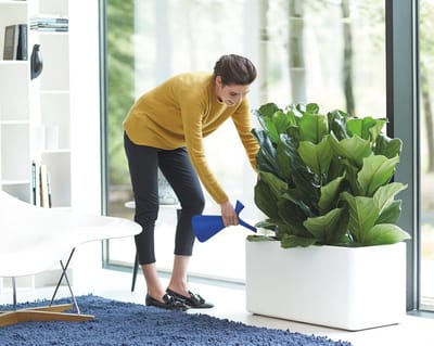 Kleurige Gieter voor Binnen - 1,7 Liter - Ø 15.0 x H 29.5 cm - Perfect voor Planten