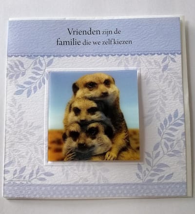 Country studios, wenskaart met afneembare 3D magneet, Goede vriend