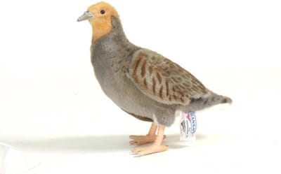 Hansa pluche patrijs knuffel - vogel - 26 cm - dieren