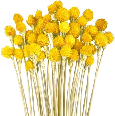 Natuurlijke Gedroogde Aardbeienbloemen - 45 Stuks voor DIY Decoraties en Bloemarrangementen in Woonkamer en Slaapkamer