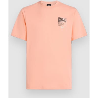 O'Neill Retro Graphic T-Shirt roze
