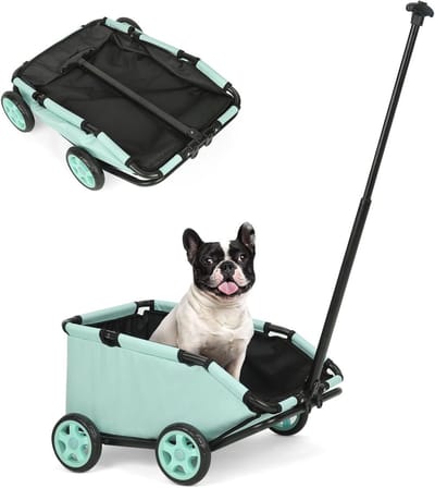 Huisdieren Kinderwagen - Dieren Karretje - Comfortabel Vervoer - Opvouwbaar Ontwerp - 2.3 Kilogram - Blauwgroen