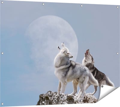 Gards Tuinposter Twee Wolven Die Huilen tijdens Volle Maan - 120x90 cm - Tuindoek - Tuindecoratie - Wanddecoratie buiten - Tuinschilderij