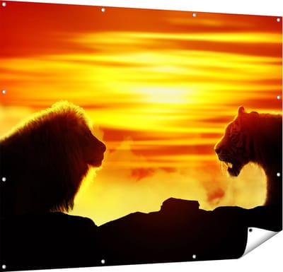 Gards Tuinposter Leeuw en Tijger - Silhouet - Zonsopkomst - 150x120 cm - Tuindoek - Tuindecoratie - Wanddecoratie buiten - Tuinschilderij