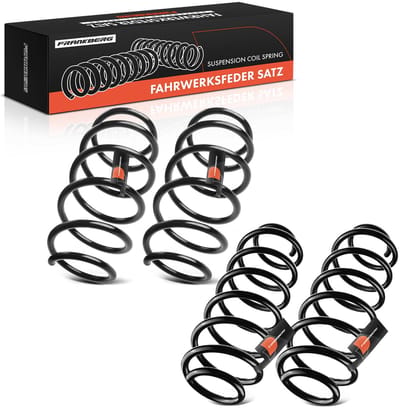 Frankberg 4x veer voor- en achteras voor Ford Fiesta VI 1.2L 1.4L 1.6L