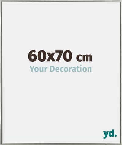 Your Decoration - Fotolijst 60x70 cm - Kunststof - Champagne - Evry