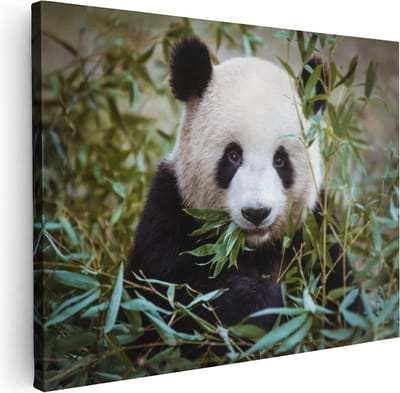 Artaza Canvas Schilderij Dieren - 40x30 cm - Klein - Wanddecoratie Panda - Muurdecoratie Jungle - Kamer Accessoires