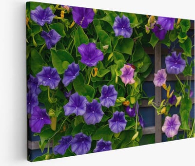 Saammp - Muurcirkel Hout - Vrouw met vlinders - Abstract - Ø 80 - Wandcirkel - Wanddecoratie Cirkel - Muurdecoratie Woonkamer - Slaapkamer decoratie - Rond Schilderij