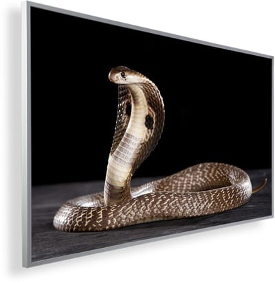 Infrarood Verwarmingspaneel 450W met fotomotief en Smart Thermostaat (5 jaar Garantie) - Cobra 84